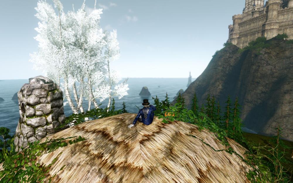 上古世纪_ 西大陆 双冠工作台附近海景茅草屋