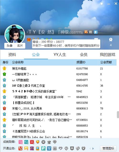 YY,390级YY年费会员无实名认证,多少钱,价格_