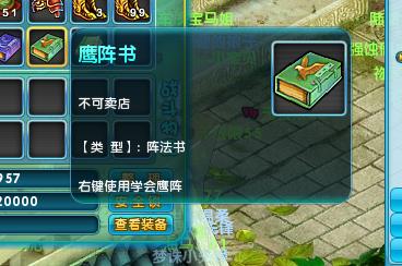 梦幻诛仙2 鹰阵书一本 不带套装出售★安全赔