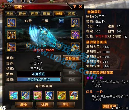无qq好友 】魅力榜第一奶妈号满坐骑,步步升星极光之蝶雷神光翼
