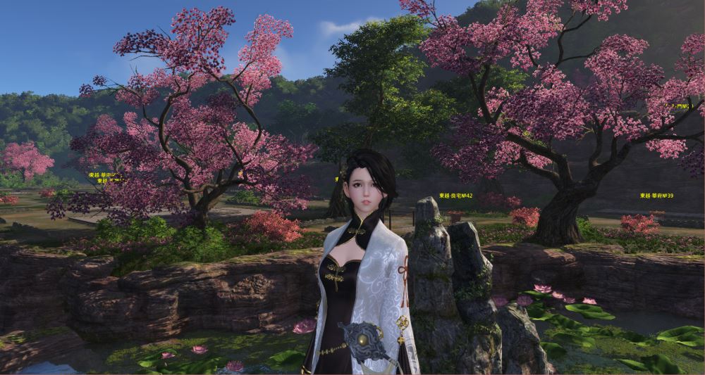 永久白马双人马鞍金装毕业6件t2首饰毕业9400功力,天涯明月刀(台服)